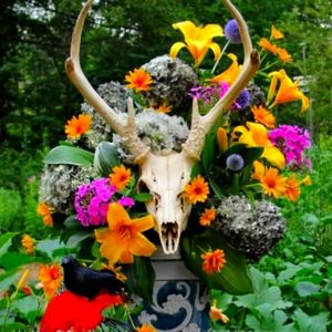 Meet your Posher, Roger